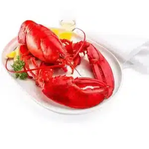 Hard Shell Maine Lobster