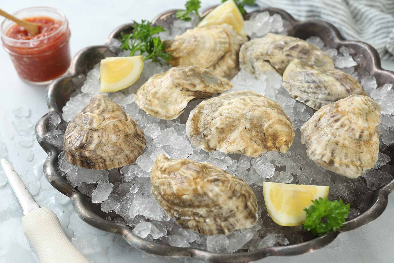 Maine Oysters