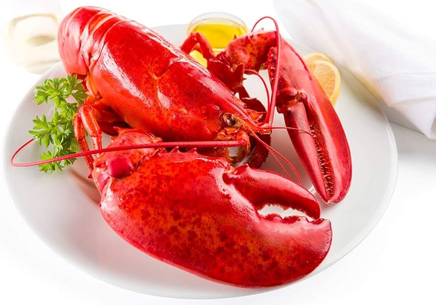 chix lobster
