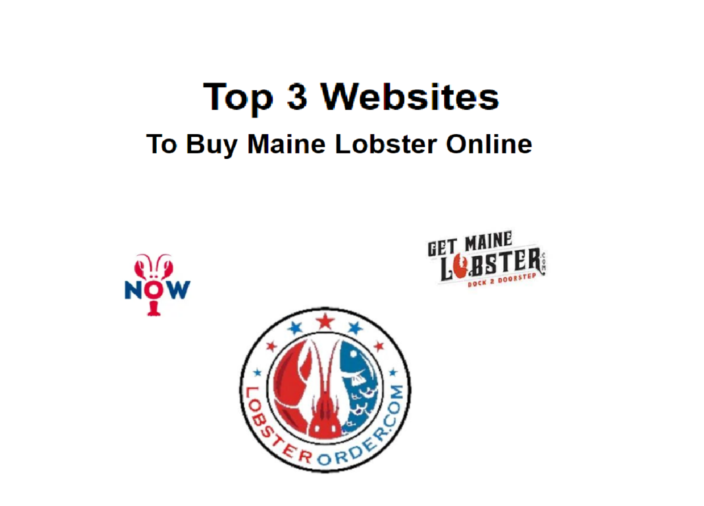 Top 3 websites to buy maine lobster online