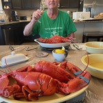 maine lobster