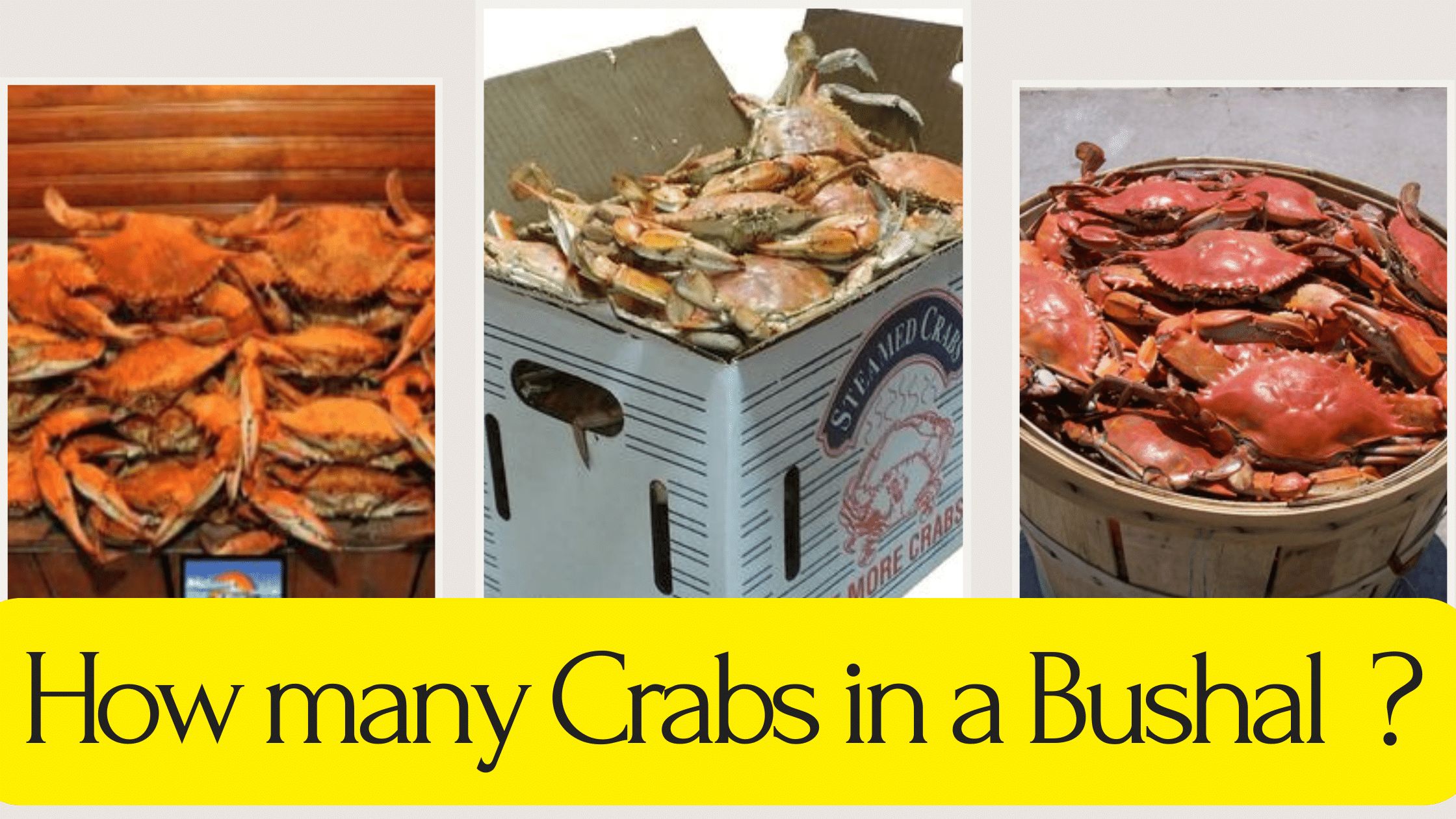 how many crabs in a bushel