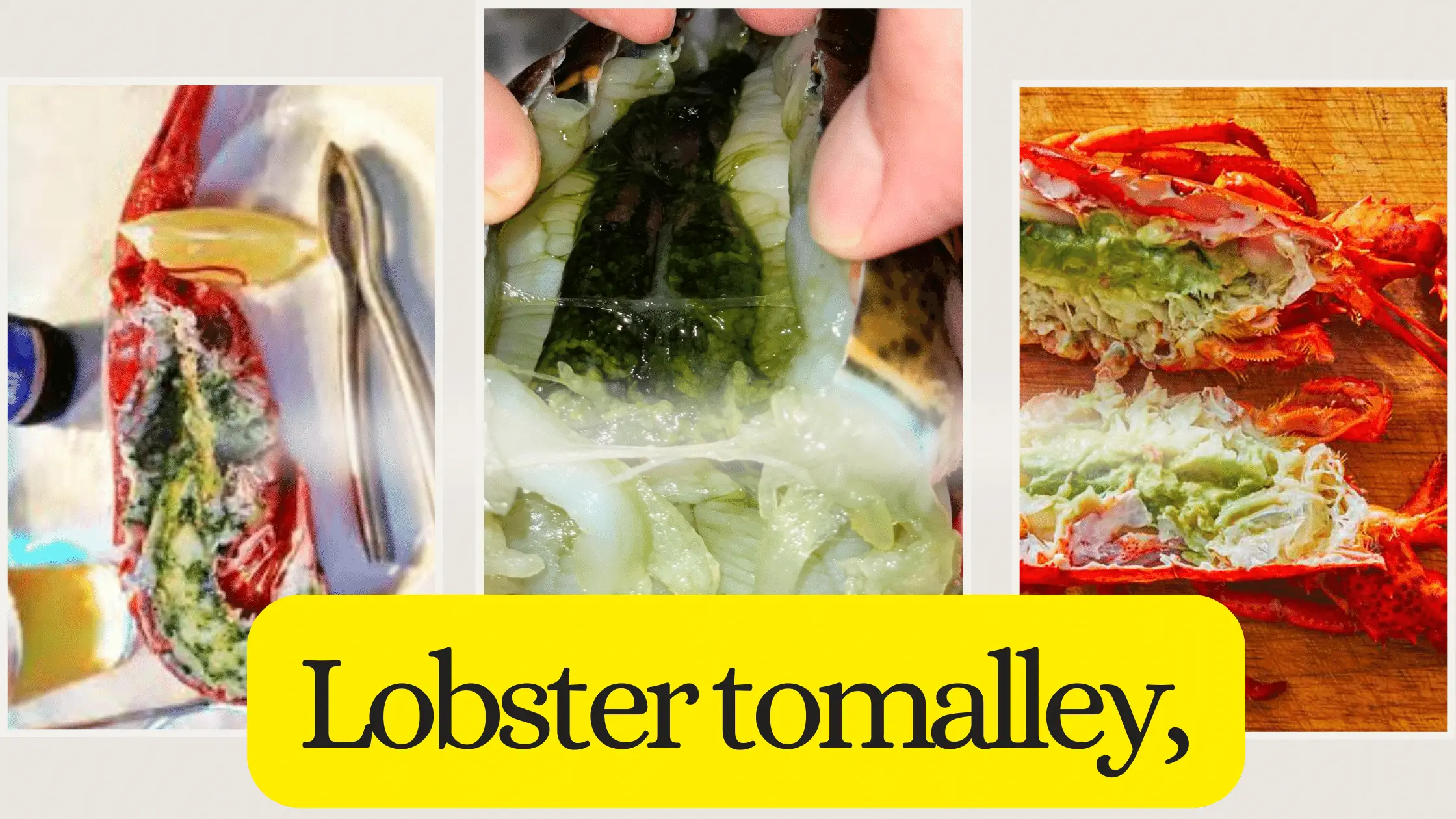 Lobster tomalley