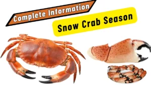 snow crab season