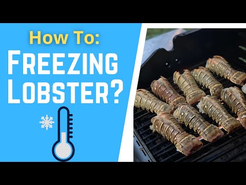 how to freeze lobster tails