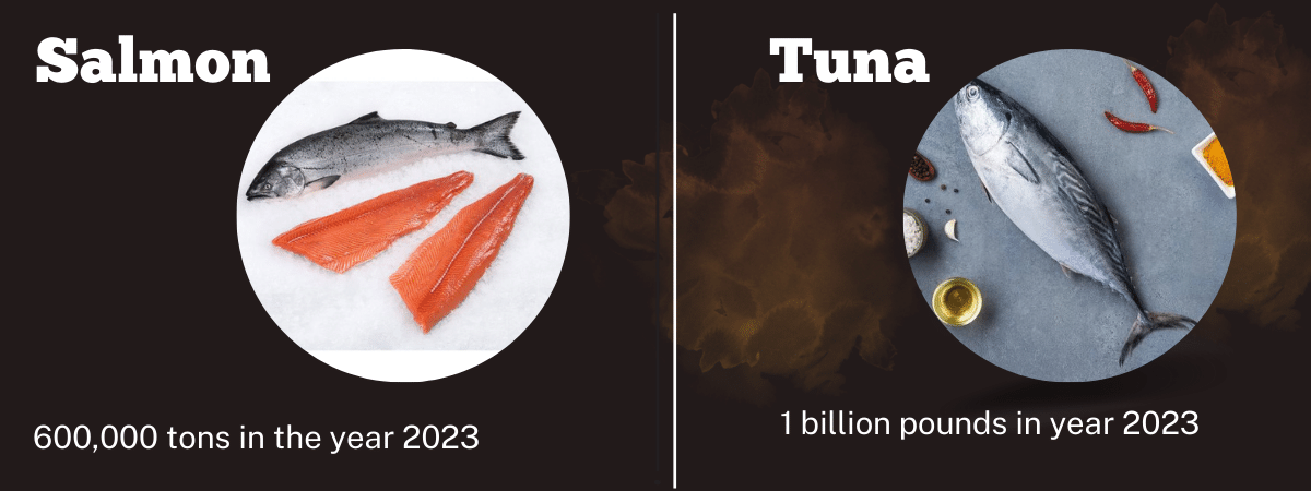 salmon and tuna sale