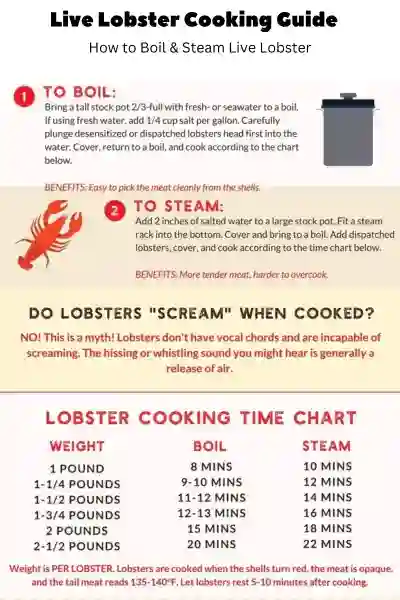Live Lobster Cooking Guide