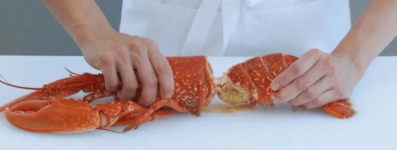 lobster Body Shell Separation