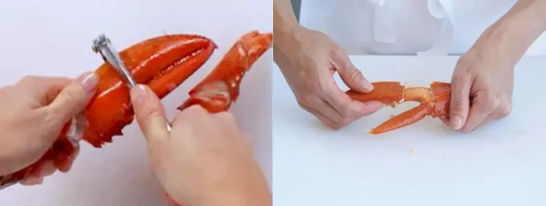 cracking lobster claw