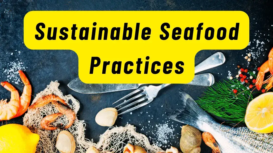 sustainable seafood practices