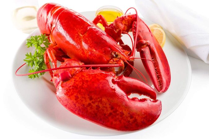 Maine Lobster