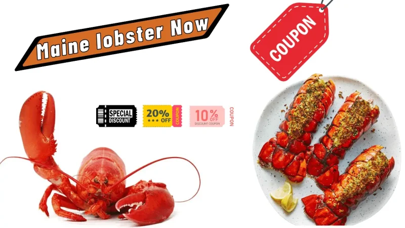maine lobster now coupon