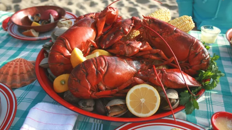 Maine live lobster: